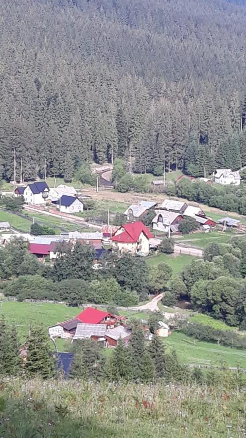 Pensiunea Argela Esterno foto