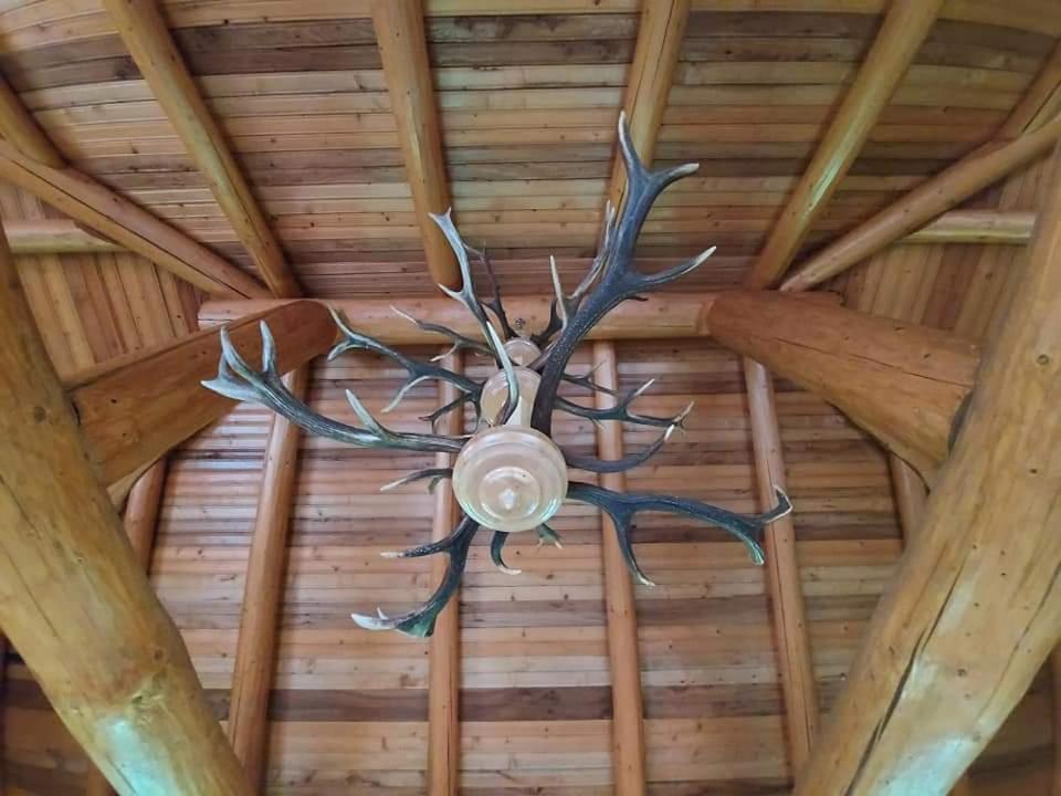 Pensiunea Argela Esterno foto